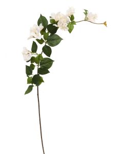 Artificial Bougainvillea Spray - Green & White (120cm long)