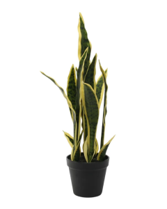 51cm Artificial Sansevieria