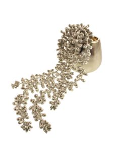 String of Pearls in Silver Pot Silver