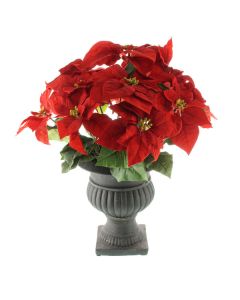 62cm Poinsettia Plant Red