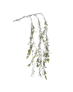 Trailing Frosted Mistletoe 109cm