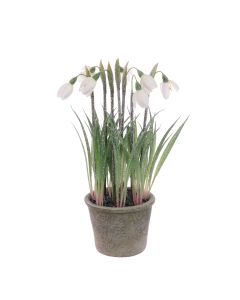 Frosted Snowdrops In Pot 27cm