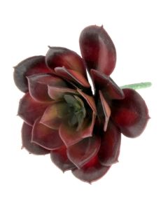 Artificial Succulent - Echeveria 10cm Red