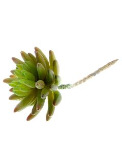 Artificial Succulent - Liveforever 11cm - Green