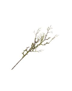 Mossed Willow Spray - Natural 90cm