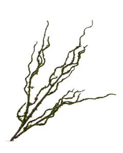Mossed Willow Spray - Natural 90cm