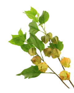 90cm Chinese Lantern Spray Yellow