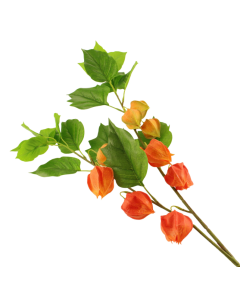 90cm Chinese Lantern Spray Orange