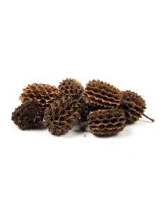 Casuarina Heads Natural x 1kg