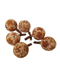 Maluku Fruit x 6pcs App 5cm Diameter