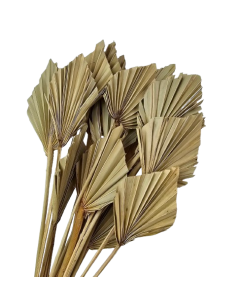 Palm Spear Mini Natural x 20