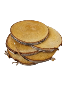 Wood Slice 17-18cm x 5