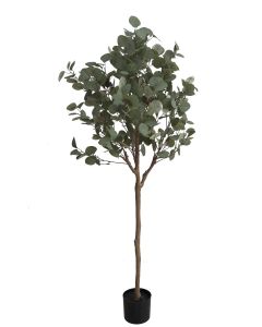 Eucalyptus Tree U.V F.R - 150cm
