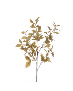 Eco Capsicum Leaf Spray 89cm Green/Brown