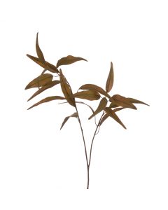 Eco Long Leaf Eucalyptus Spray Green