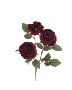 Eco Cabbage Rose Spray 70cm Burgundy