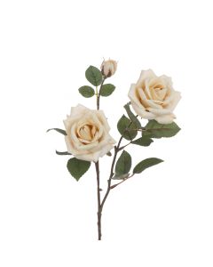 Eco Rose Spray 70cm Beige