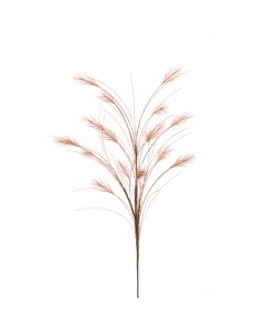 Reed Spray 79cm Brown