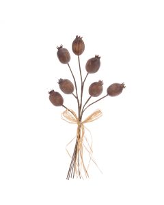 Frosty Poppy Seed Bundle 36cm