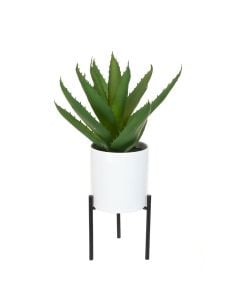 Aloe Pot & Stand - 29cm