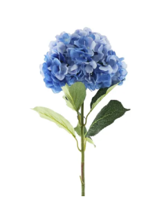 Essential Giant Hydrangea KD - Dark Blue