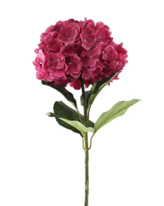 Essential Giant Hydrangea KD - Dark Pink