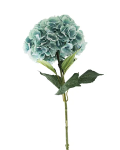 Essential Giant Hydrangea KD - Green/Blue
