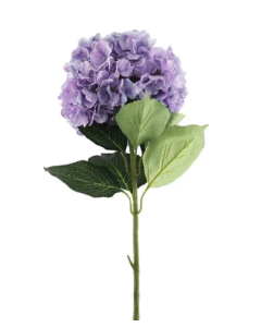 Essential Giant Hydrangea KD - Lilac