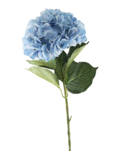 Essential Giant Hydrangea KD - Light Blue