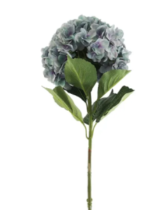 Essential Giant Hydrangea KD - Lilac/Green