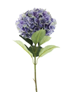 Essential Giant Hydrangea KD - Purple/Green