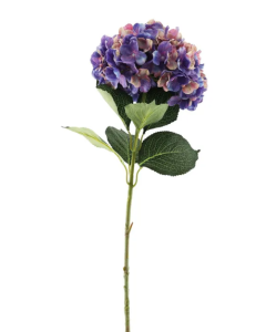 Essential Giant Hydrangea KD - Pink/Purple