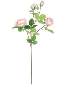 70cm Bisque Rose With 2 Buds Stem
