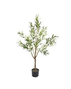 Olive Tree In Pot 120cm