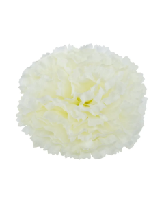 Essential Carnation Pick Ivory-Box of 144