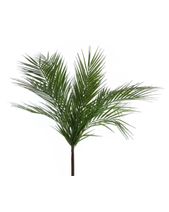 Essential Large Palm Plant 61cm