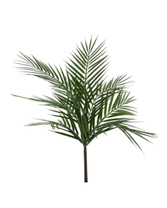 Essential Palm Plant Small 61cm