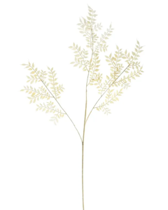 Essential Dry Look Bleached Ruscus 102cm