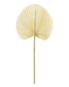 Essential Dry Look Bleached Fan Palm 54cm