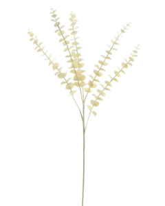 Essential Dry Look Bleached Eucalyptus Stem 84cm
