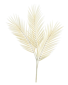 Essential Dry Look Bleached Fern Leaf 70cm