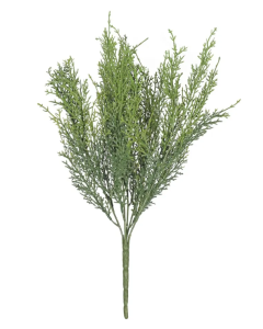 Dwarf Conifer 45cm