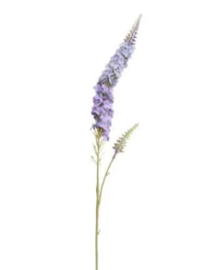 Veronica Spray Blue