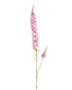 Veronica Spray Pink