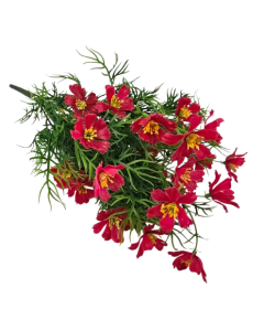 Exterior Cosmos Bush U.V - Red - 42cm