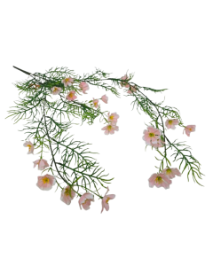 Exterior Cosmos Bush U.V - Pink - 72cm