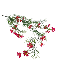 Exterior Cosmos Bush U.V - Red - 72cm