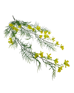 Exterior Cosmos Bush U.V - Yellow - 72cm