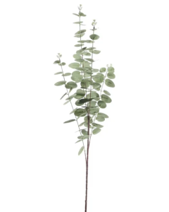 Eucalyptus Stem - Grey 100cm