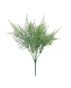 Essential Asparagus Fern Green 35cm